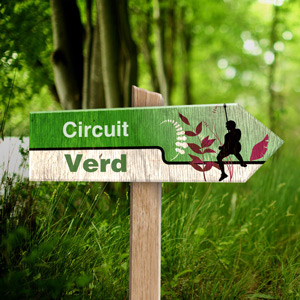 Circuit - Infantil