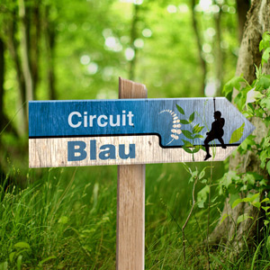 Circuit - Aventura